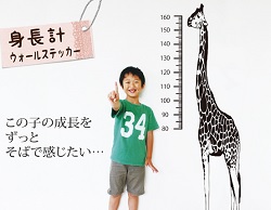 ウォールステッカーガイド